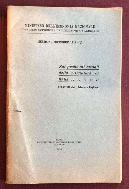 Sui problemi attuali della risicoltura in Italia.
