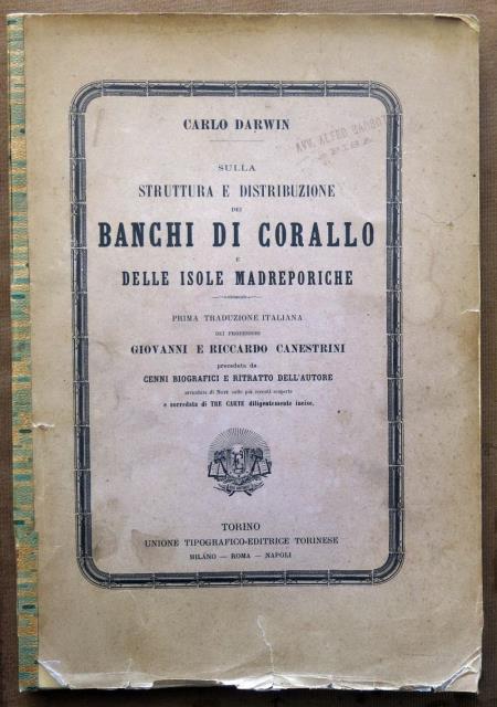 Sulla struttura e distribuzione dei banchi di corallo e delle …