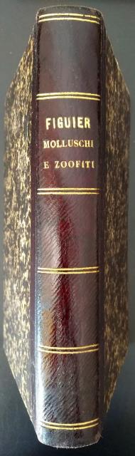 Vita e costumi degli animali. Molluschi e zoofiti. Terza edizione …