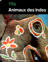 Animaux des Indes