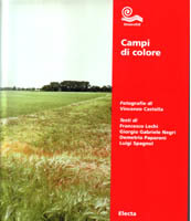 Campi di colore