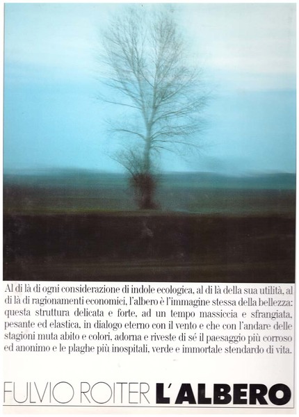 L'albero ( III ed.)