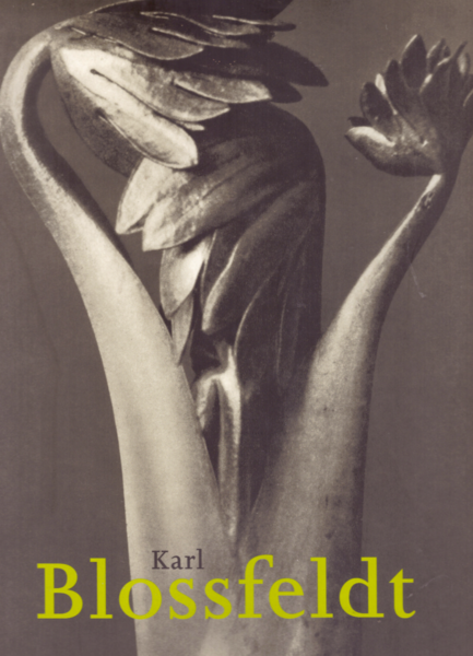 Karl Blossfeldt: 1865-1932