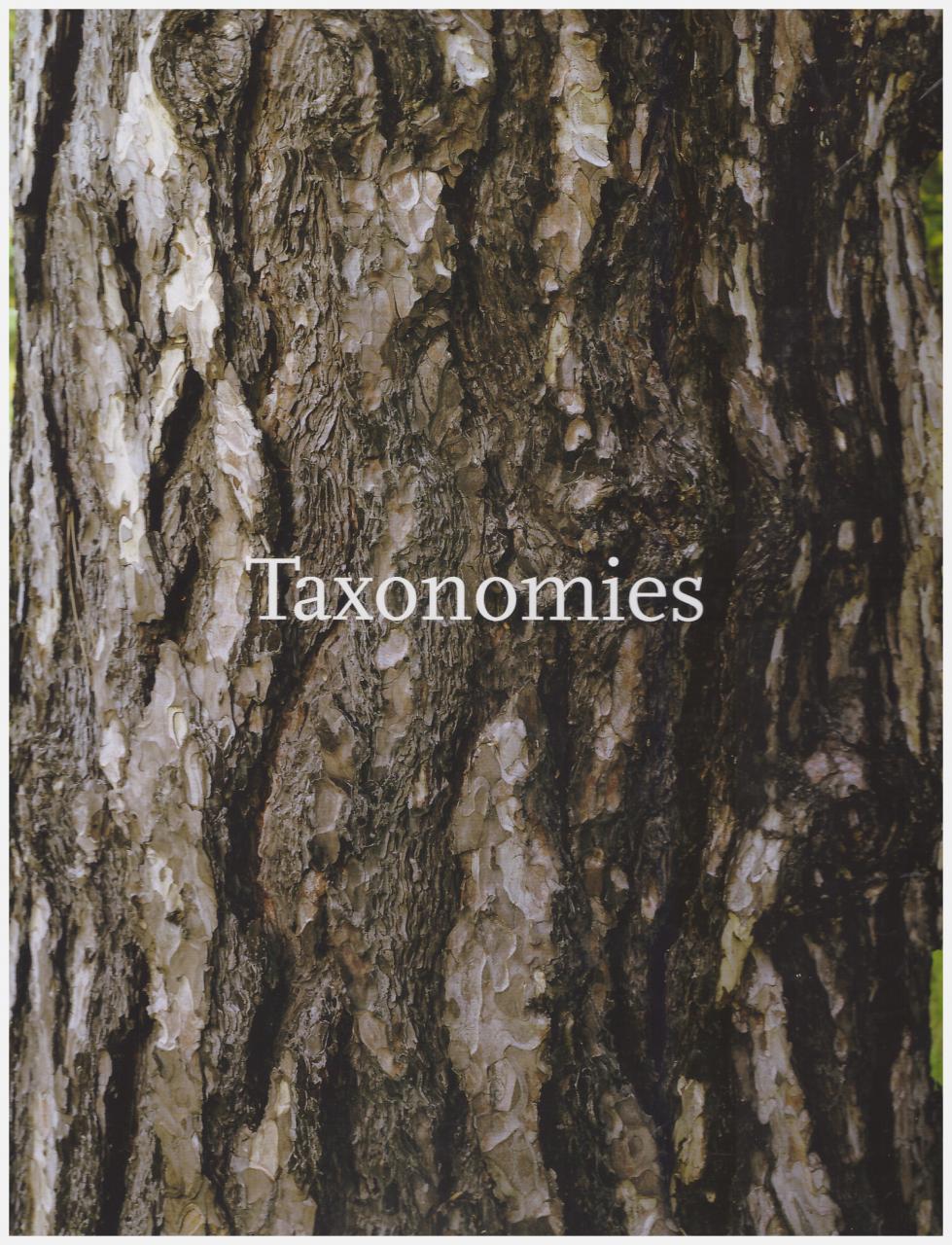 Taxonomies