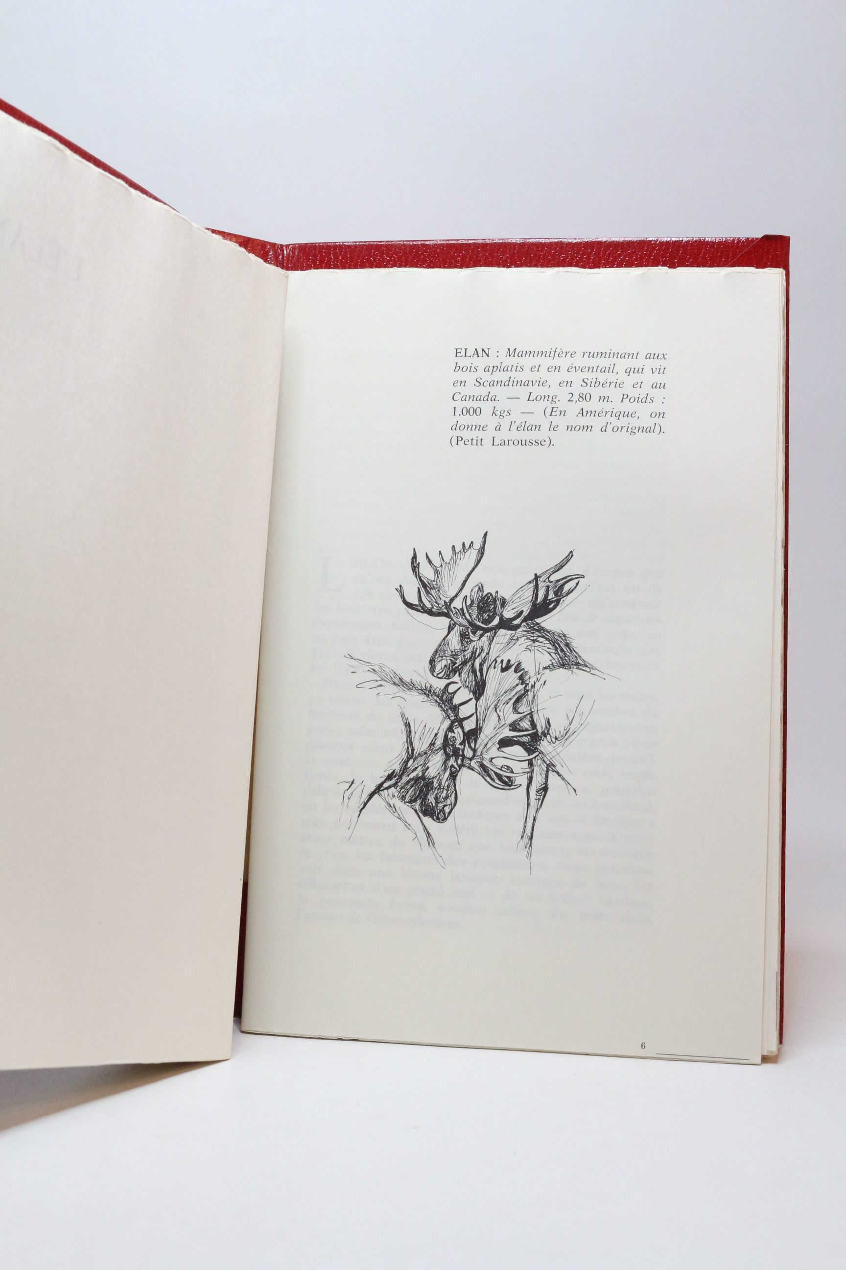 Bestiaire enchanté