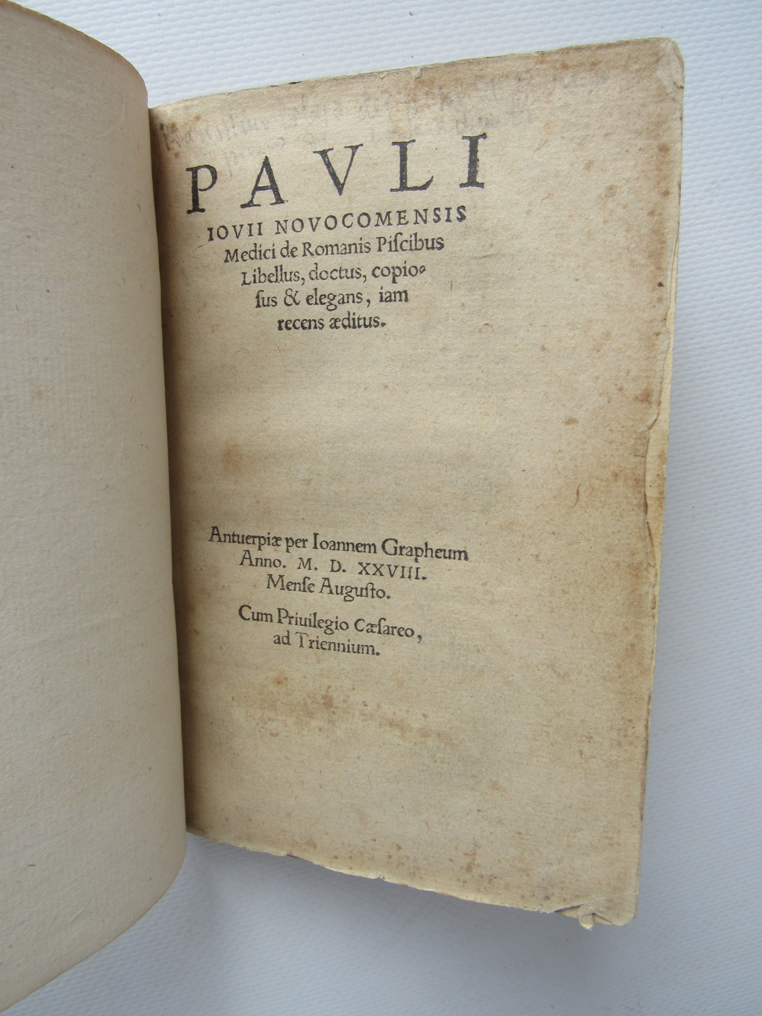 De romanis piscibus libellus, doctus, copiosus & elegans, iam recens …