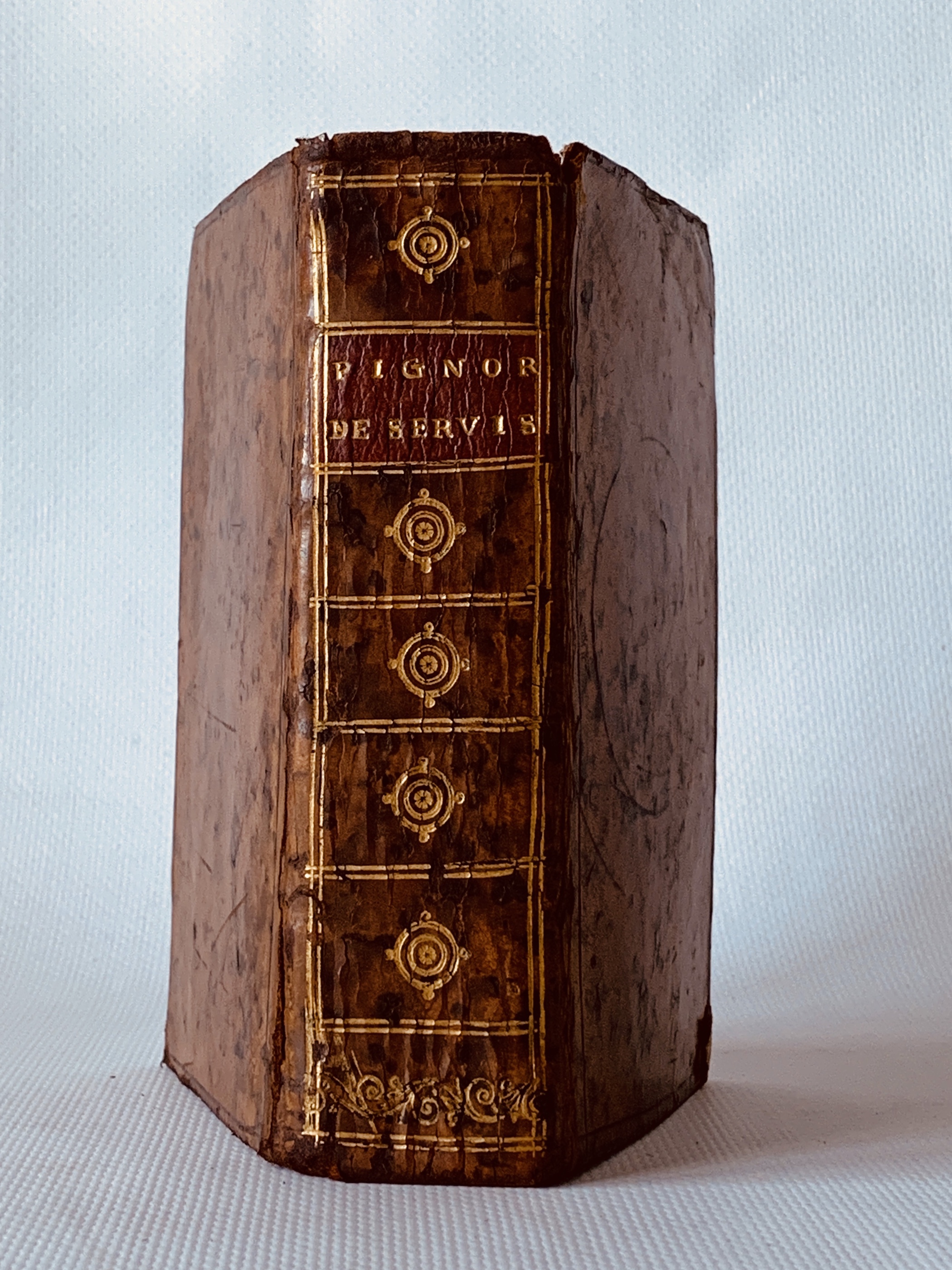 De servis et Eorum apud Veteres Ministeriis, Commentarius, In quo …