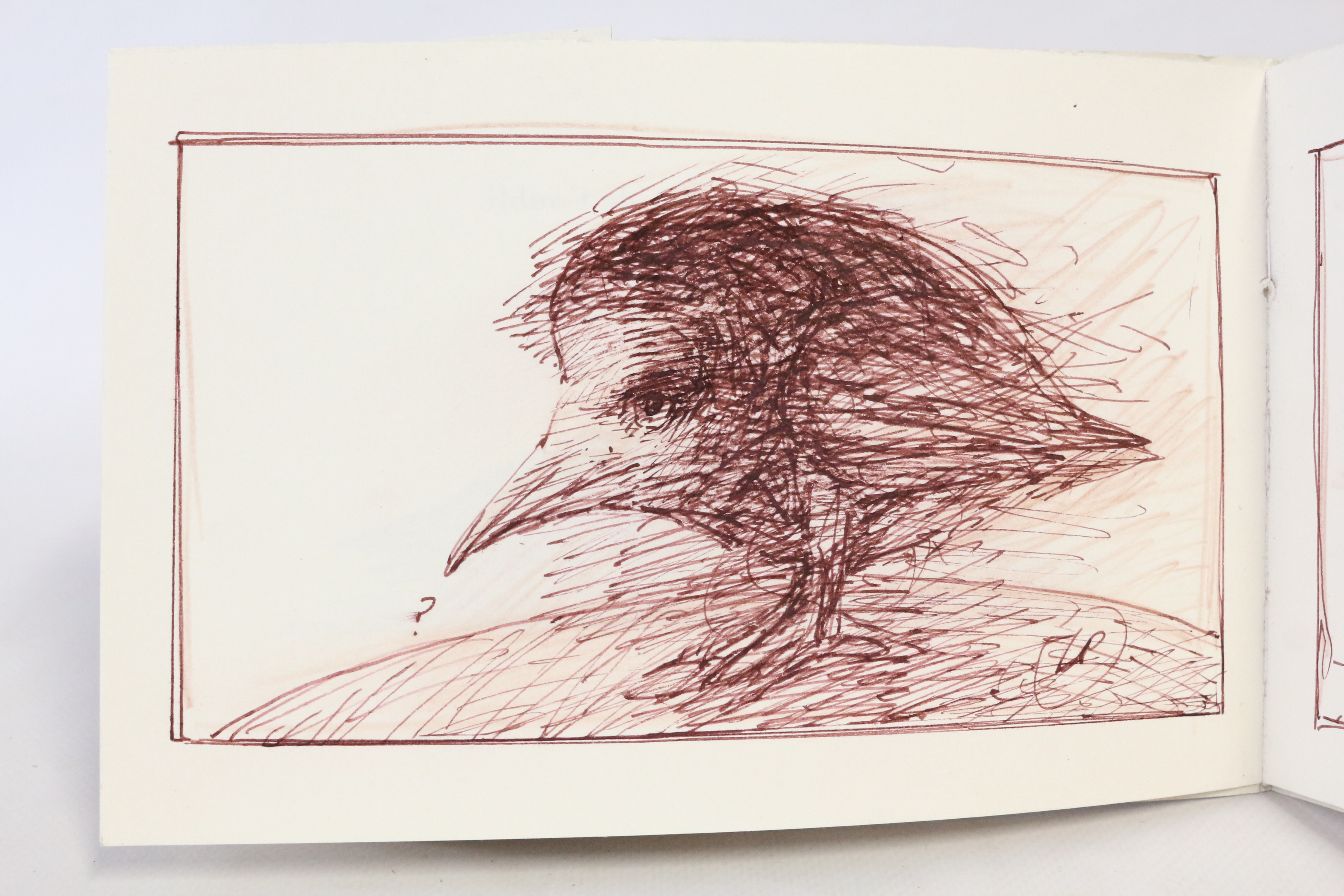 Dernières nouvelles de l'oubli