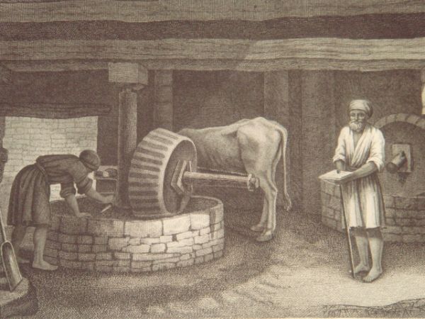 DESCRIPTION DE L'EGYPTE. Arts et métiers. Vue intérieure du moulin …