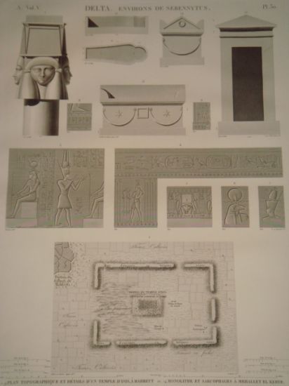 DESCRIPTION DE L'EGYPTE. Delta. Environs de Sebennytus. Plan topographique et …