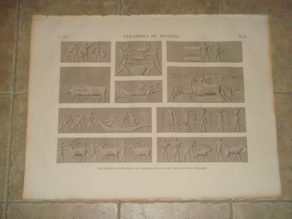 DESCRIPTION DE L'EGYPTE. Pyramides de Memphis. Bas-reliefs sculptés dans les …