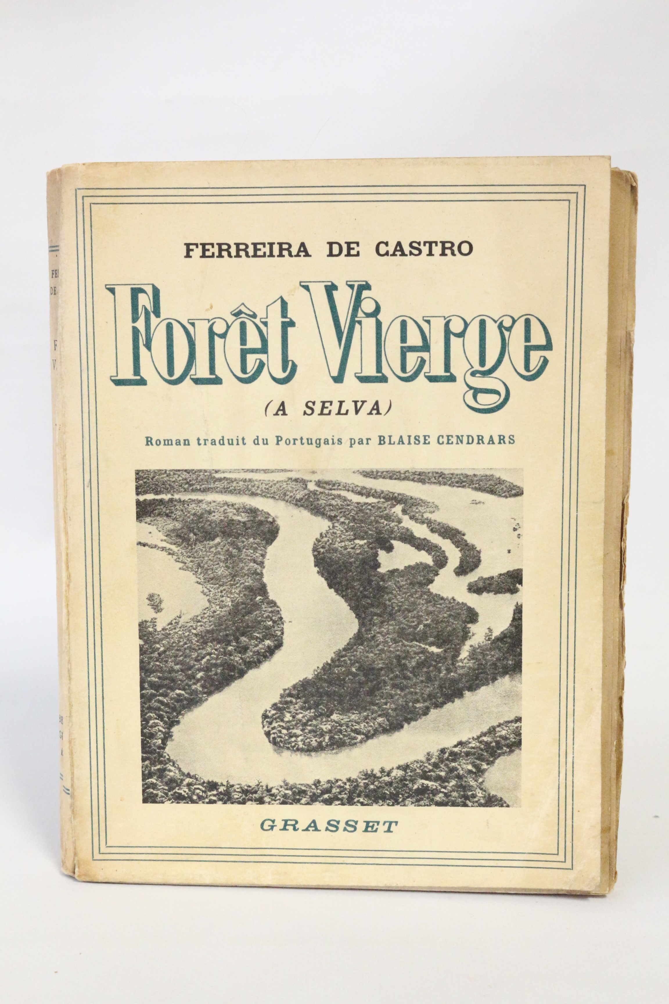 Forêt vierge