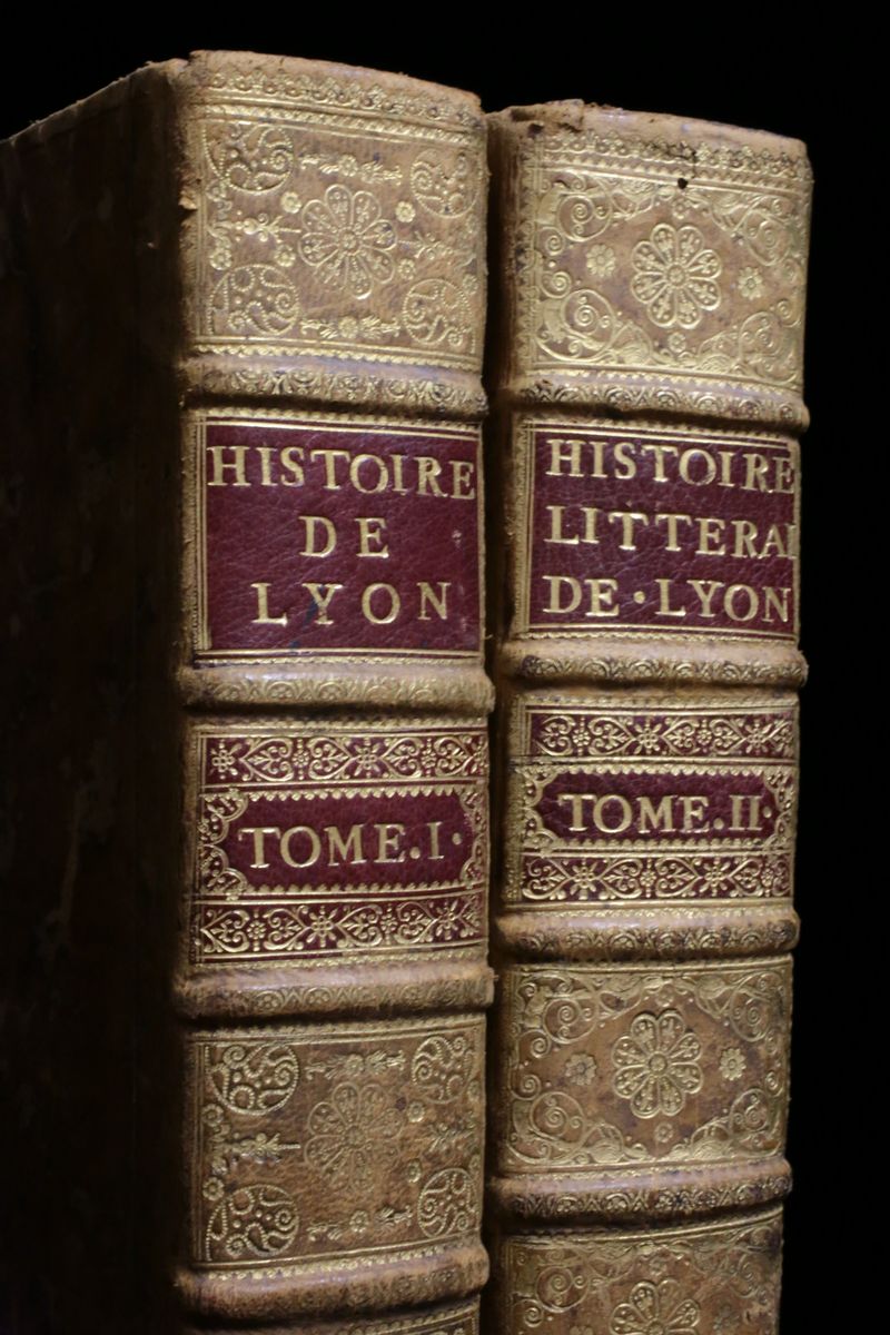 Histoire littéraire de la ville de Lyon avec une bibliothèque …