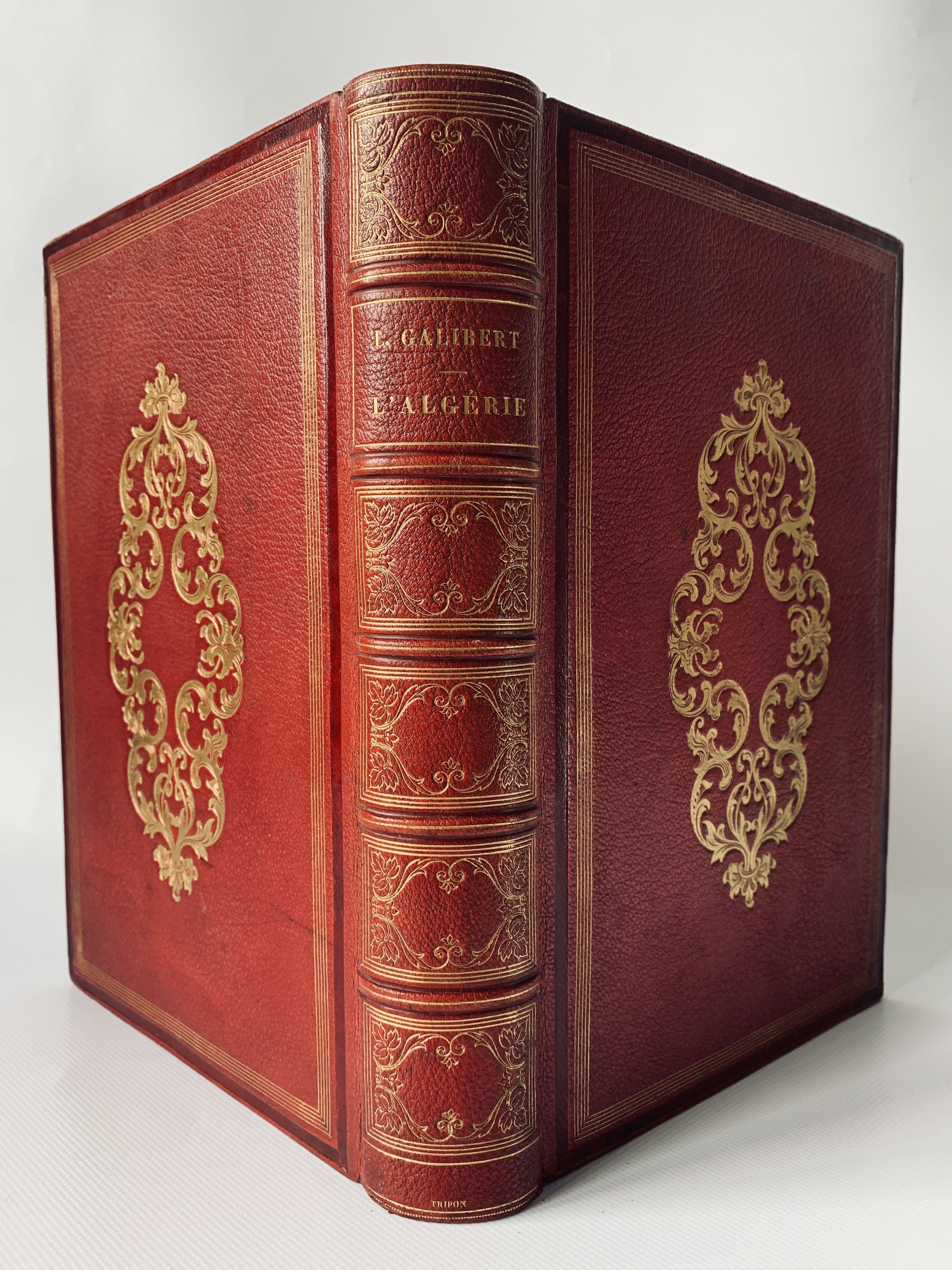 L'Algérie ancienne et moderne