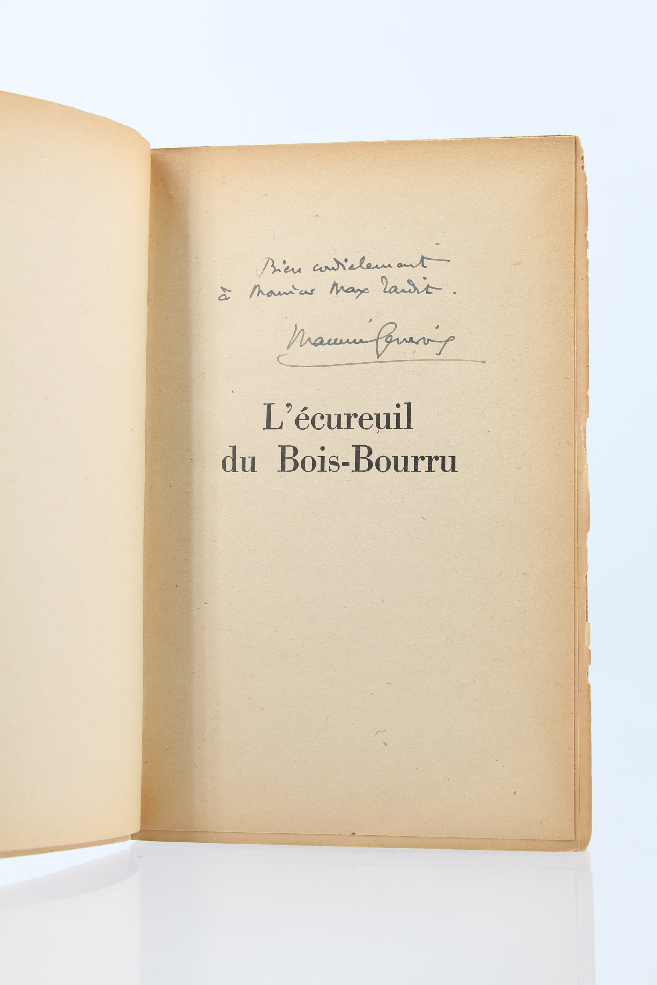 L'Ecureuil du Bois-bourru