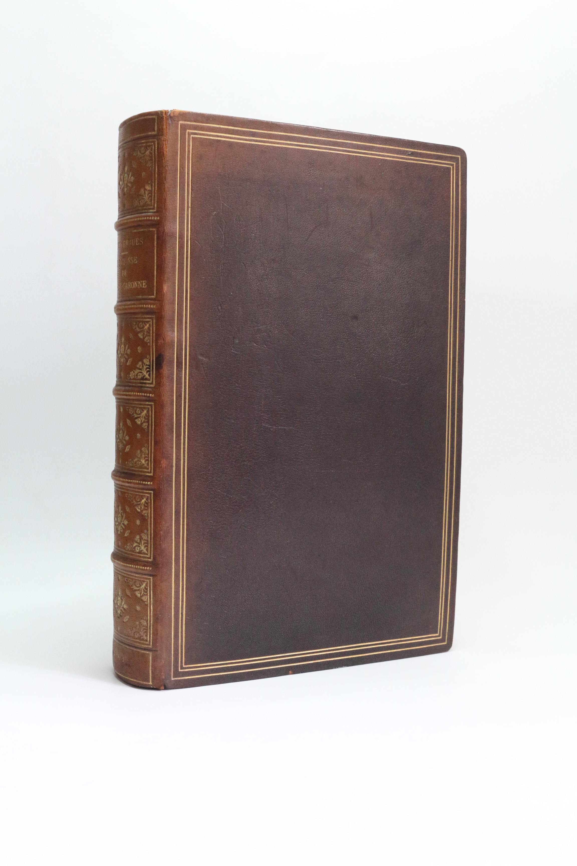 L'église d'Agen pendant la Révolution. Le diocèse de Lot-et-Garonne