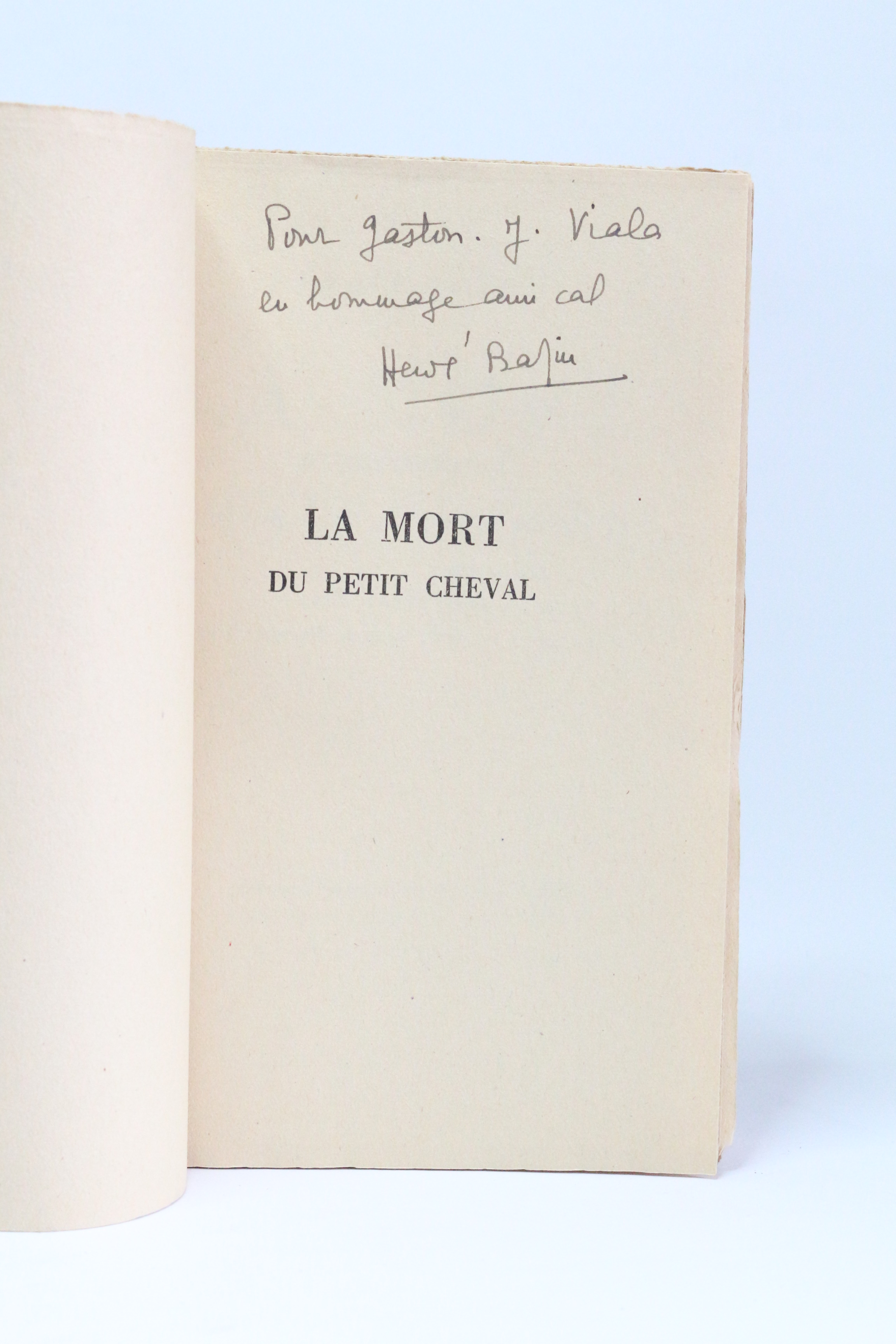 La mort du petit cheval