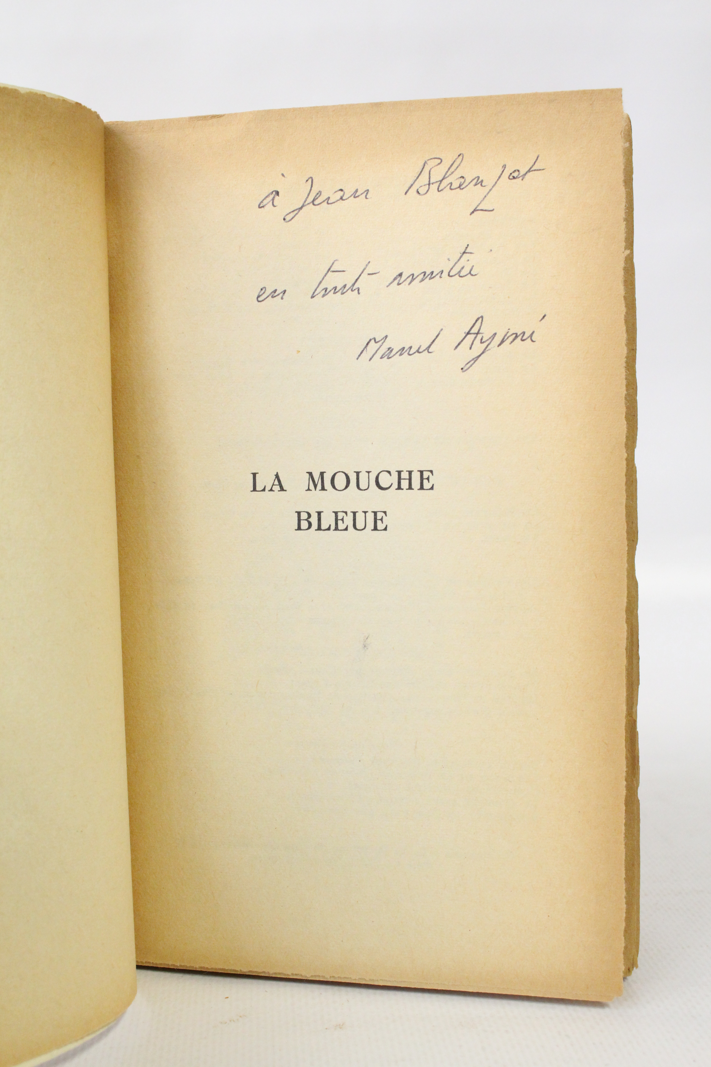 La mouche bleue