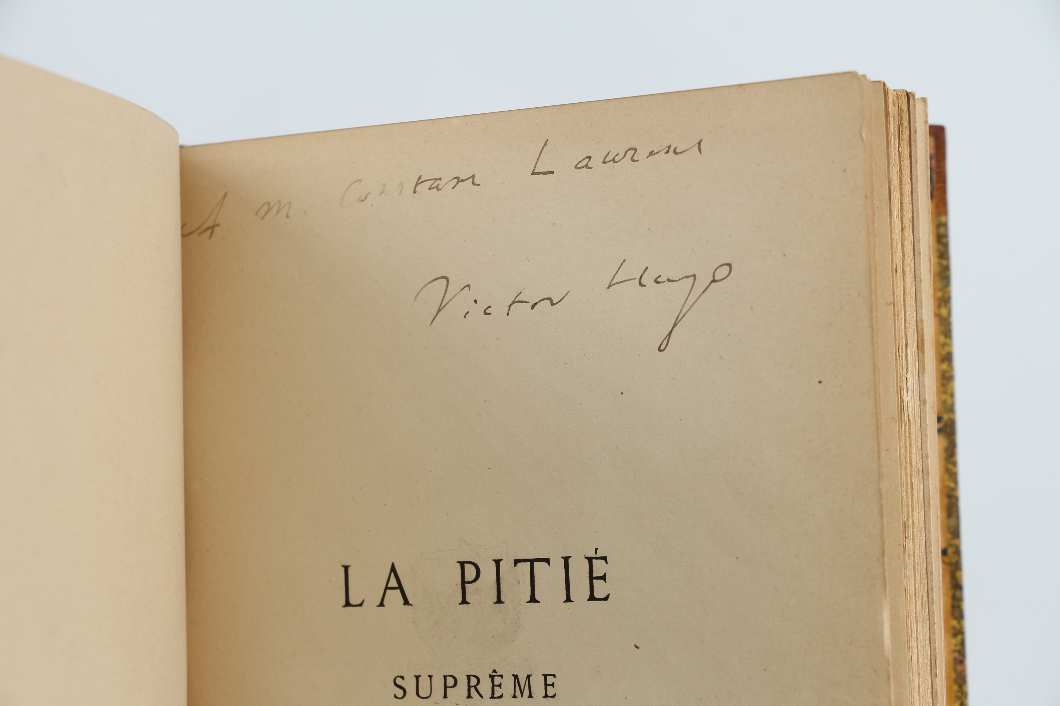 La Pitié suprême