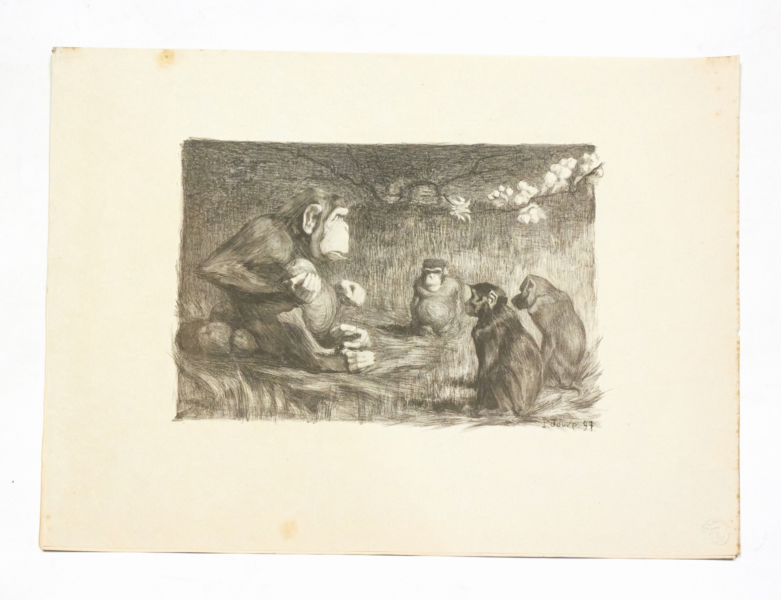 "Le jugement de Paris" - Lithographie originale sur Chine - …