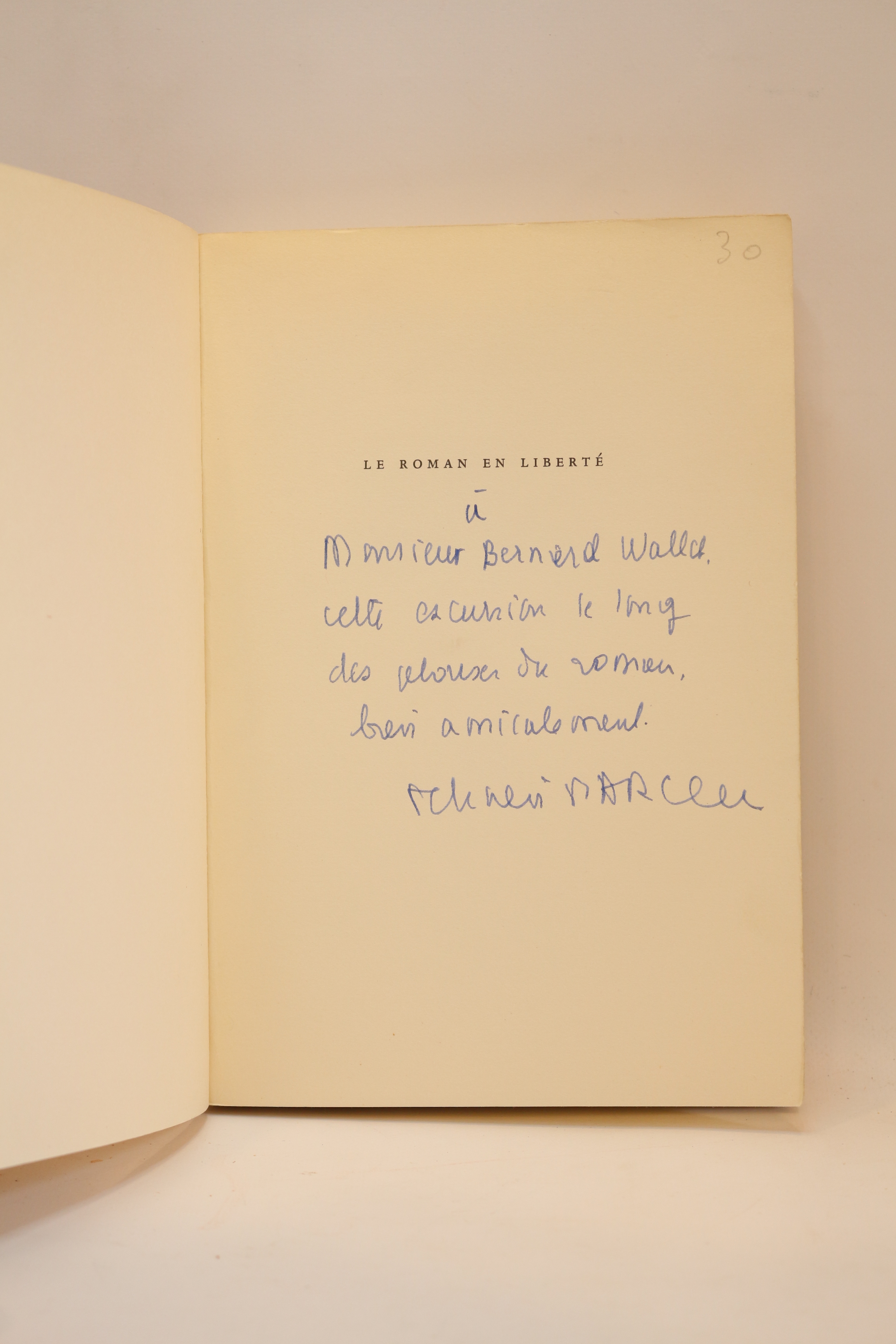 Le roman en liberté