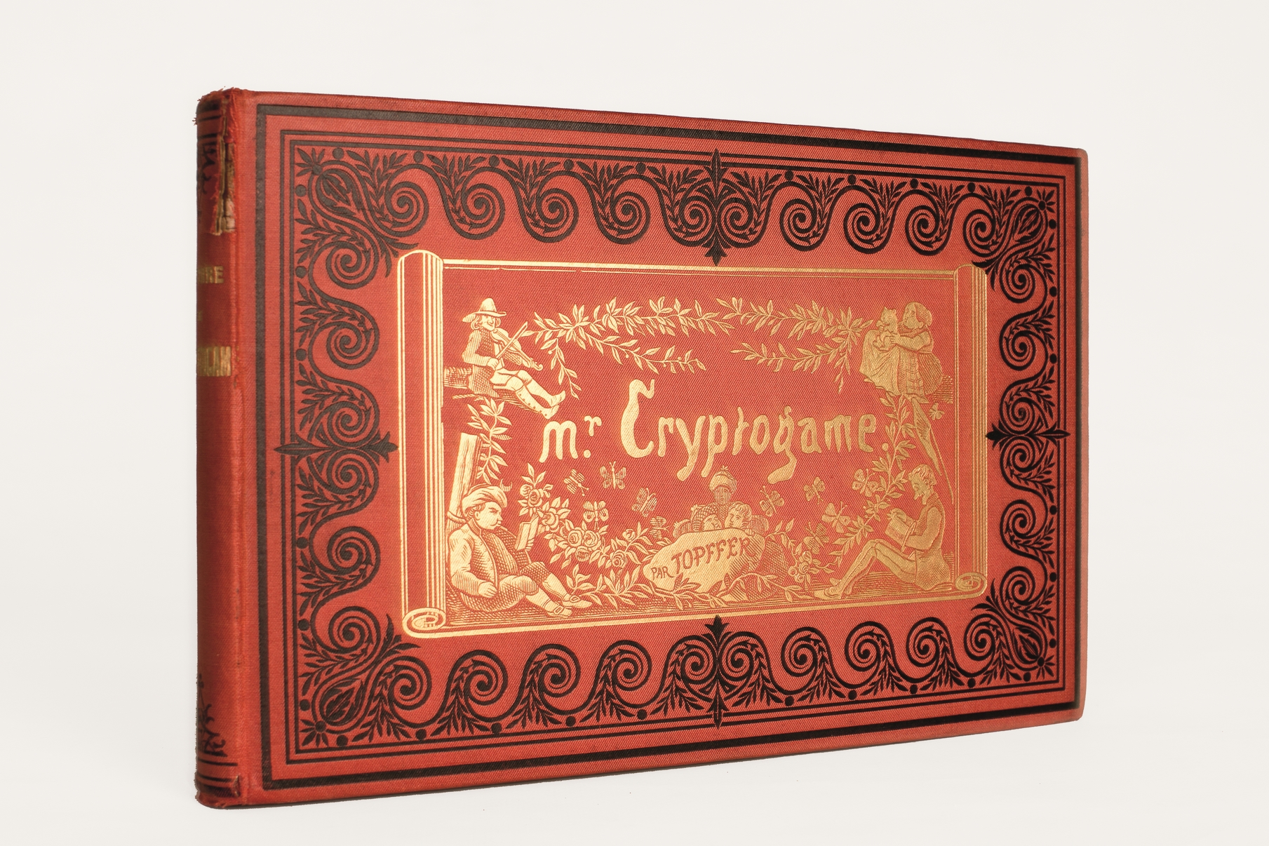 Mr. Cryptogame