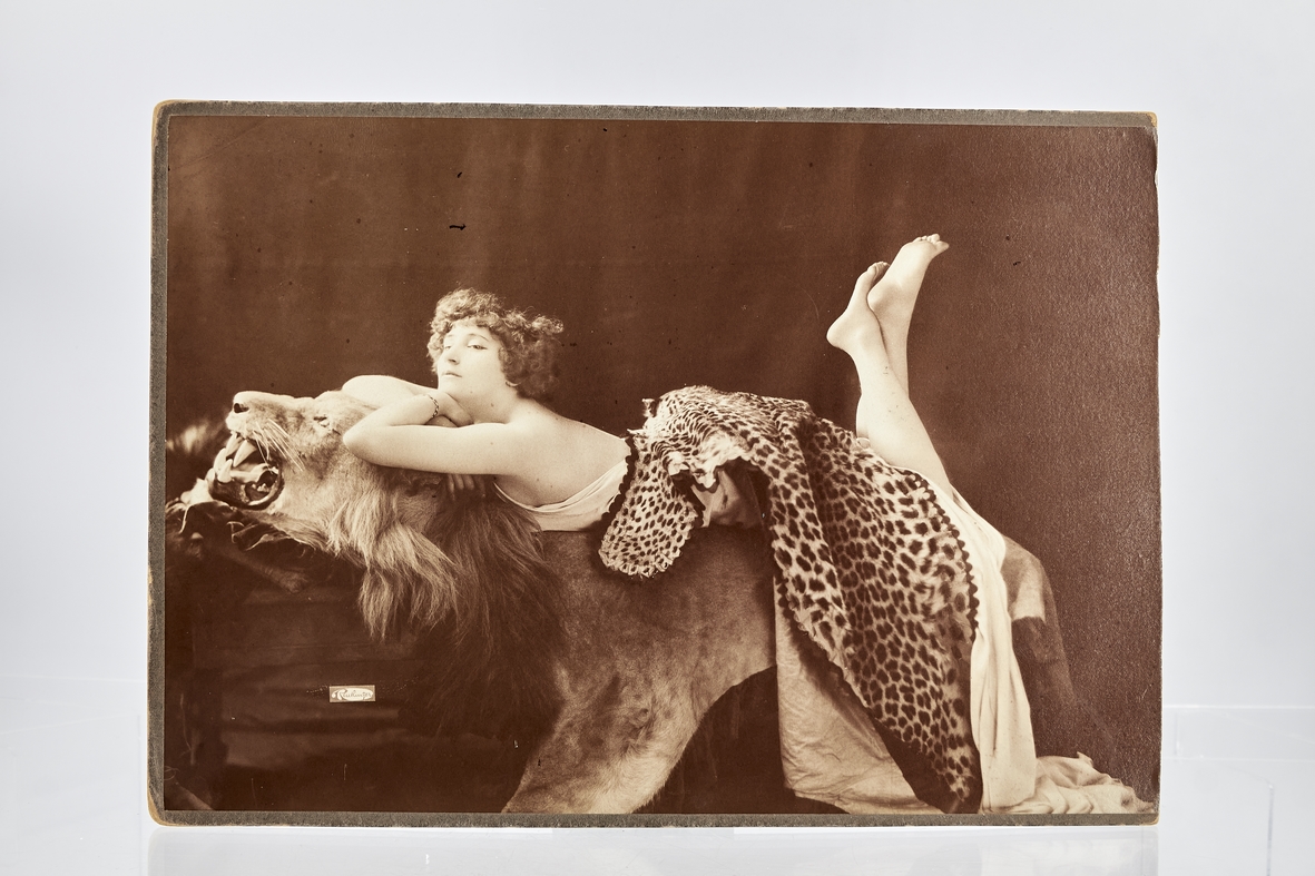 Portrait photographique de Colette à la peau de lion