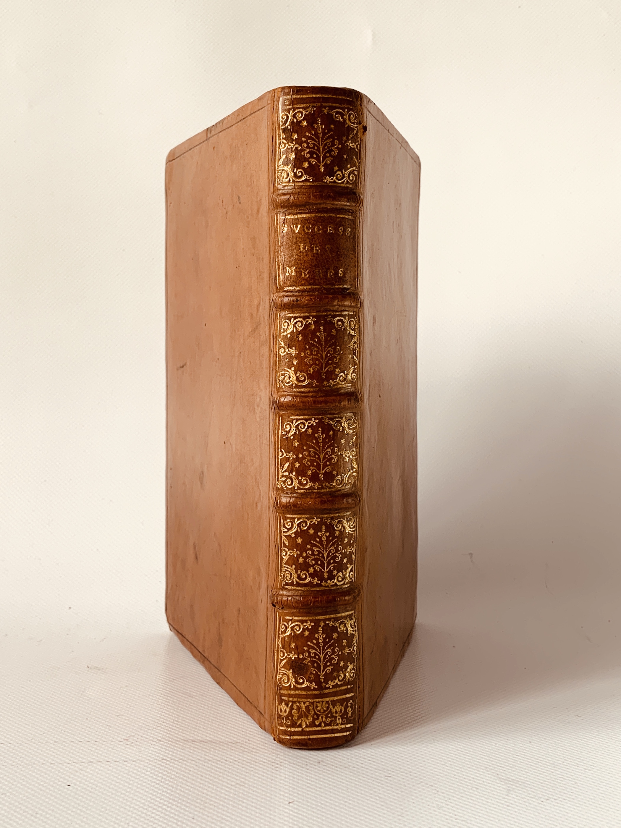 Traité de la succession des meres, en vertu de l'édit …