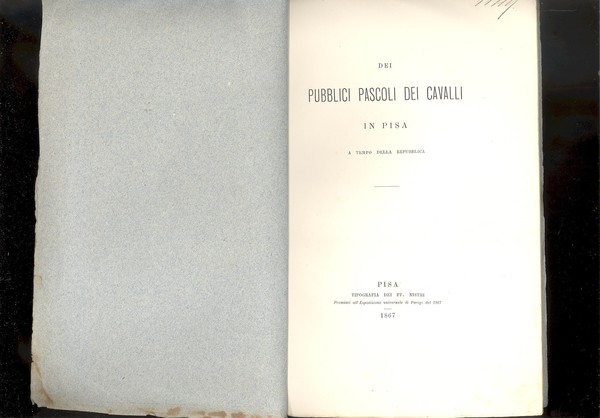 DEI PUBBLICI PASCOLI DEI CAVALLI IN PISA A TEMPO DELLA …