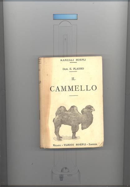 IL CAMMELLO