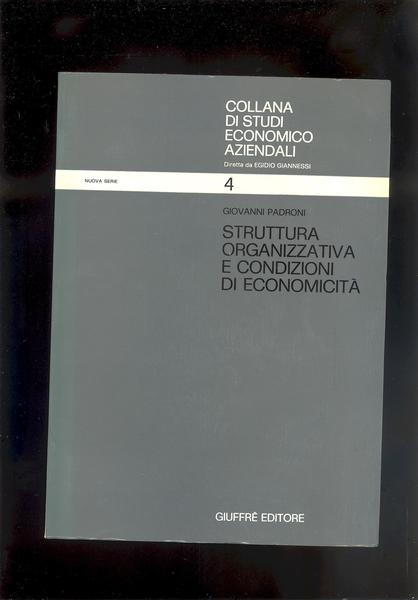 STRUTTURA ORGANIZZATIVA E CONDIZIONI DI ECONOMICITA'