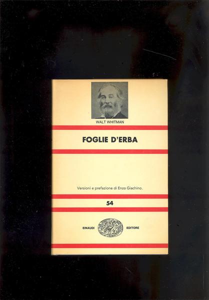 FOGLIE D'ERBA