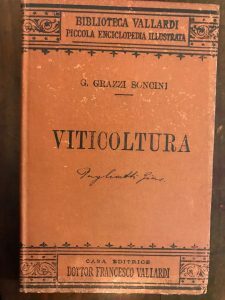 VITICOLTURA