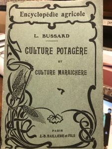 CULTURE POTAGERE ET CULTURE MARAICHERE