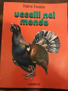 UCCELLI NEL MONDO