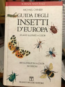 GUIDA DEGLI INSETTI D’EUROPA. ATLANTE ILLUSTRATO A COLORI