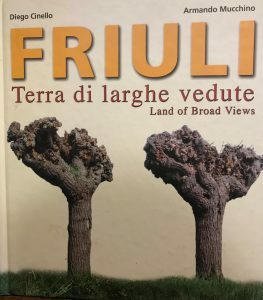 FRIULI TERRA DI LARGHE VEDUTE. LAND OF BROAD VIEWS