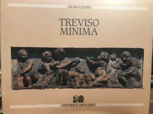 TREVISO MINIMA