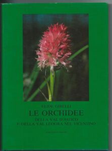 LE ORCHIDEE DELLA VAL D’ASTICO E DELLA VAL LEOGRA NEL …