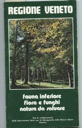 FAUNA INFERIORE FLORA E FUNGHI NATURA DA SALVARE – REGIONE …
