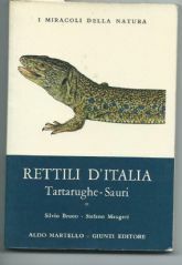 I MIRACOLI DELLA NATURA – RETTILI D’ITALIA. TARTARUGHE – SAURI …