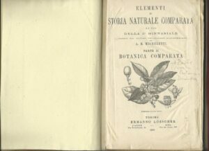 ELEMENTI DI STORIA NATURALE COMPARATA – BOTANICA COMPARATA E BOTANICA …