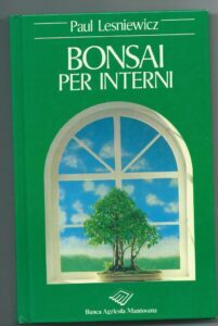 BONSAI PER INTERNI