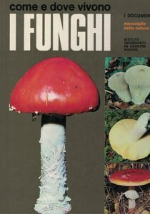 COME E DOVE VIVONO I FUNGHI