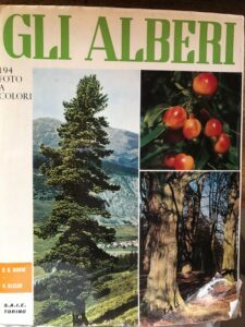 GLI ALBERI