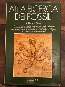 ALLA RICERCA DEI FOSSILI