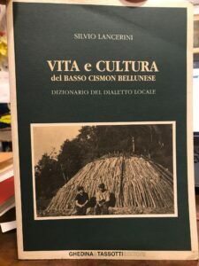 VITA E CULTURA DEL BASSO CISMON BELLUNESE DIZIONARIO DEL DIALETTO …