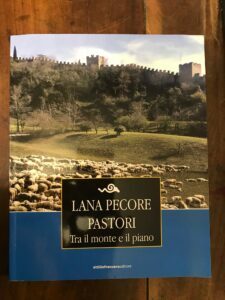 LANA PECORE PASTORI TRA IL MONTE E IL PIANO