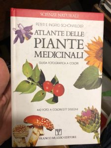 ATLANTE DELLE PIANTE MEDICINALI . GUIDA FOTOGRAFICA A COLORI