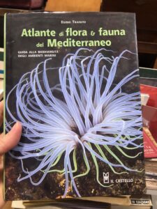 ATLANTE DI FLORA E FAUNA DEL MEDITERRANEO- GUIDA ALLA BIODIVERSITA’ …